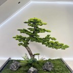 tiểu cảnh cây tùng giả
